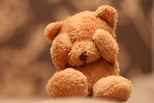 bear